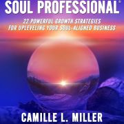 The Ultimate Guide to Becoming a Successful Soul Professional: 25 Easy-to-Follow Blueprints for Success